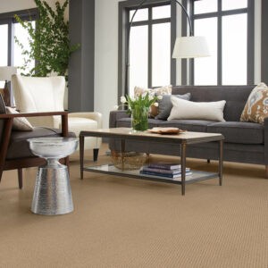 Living room Carpet flooring | CarpetsPlus COLORTILE