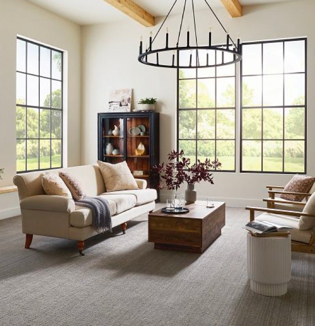 Living room Carpet | CarpetsPlus COLORTILE