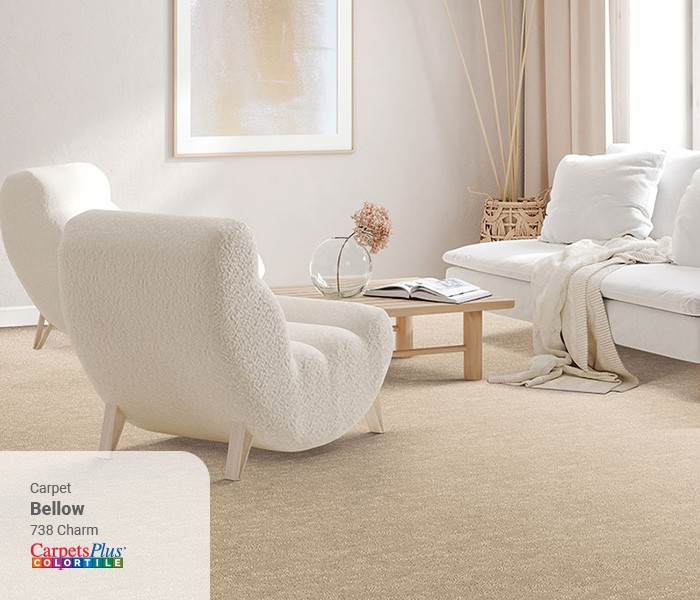 Living room Carpet flooring | CarpetsPlus COLORTILE
