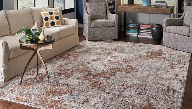 Area Rug for living room | CarpetsPlus COLORTILE