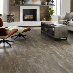 Vinyl flooring for living room | CarpetsPlus COLORTILE